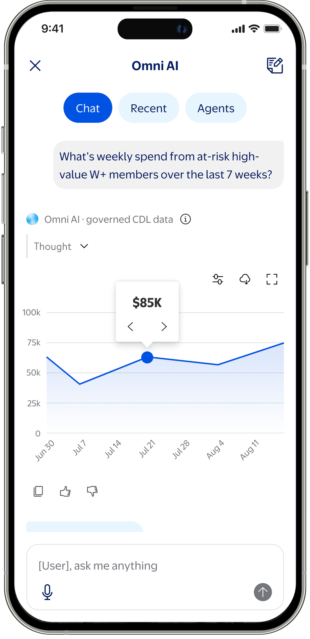 Customer Data Hub mobile — Omni AI chat
